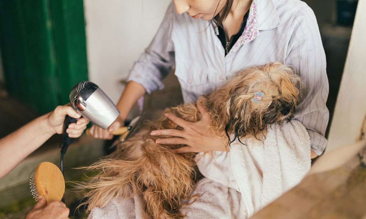 Improving Animal Health